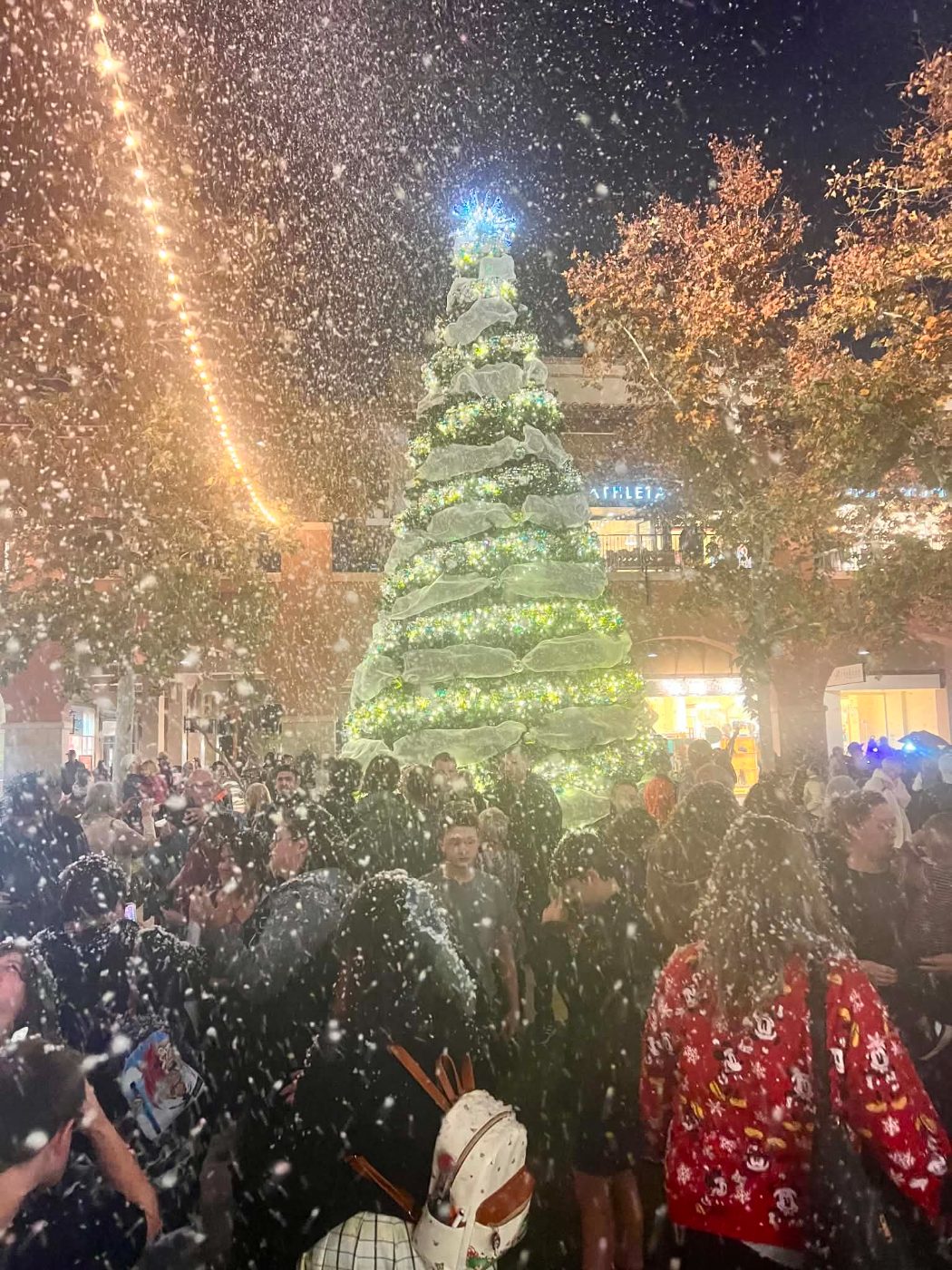 Snow falling over a crowd at a Christmas tree lighting